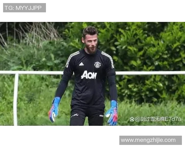 世界第一门将为何被弃用？真相曝光