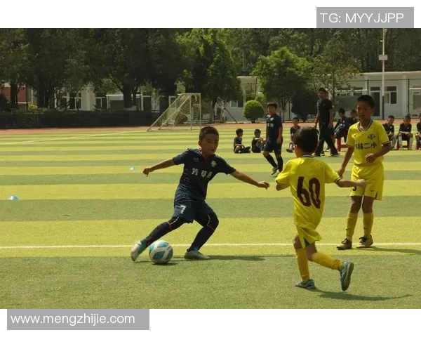 中国小学生足球赛决赛场面堪比职业赛 中国小学生足球赛决赛场面堪比职业赛